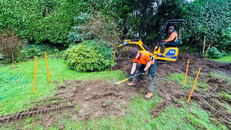 Bamboo removal specialists covering Devon, Somerset, Dorset & Cornwall.