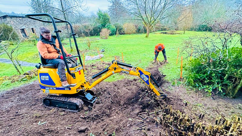 Devon, Somerset, Dorset and Cornwall Bamboo Removal