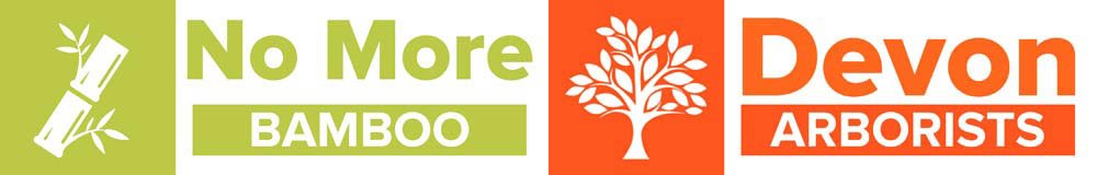 No More Bamboo Somerset